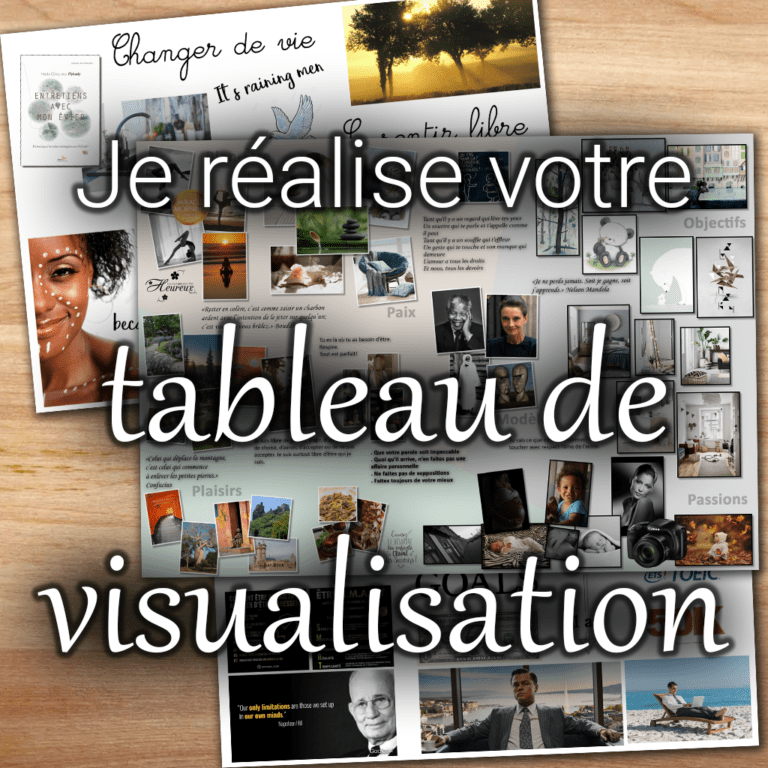 Je R Alise Votre Tableau De Visualisation Devis Audrey Janvier