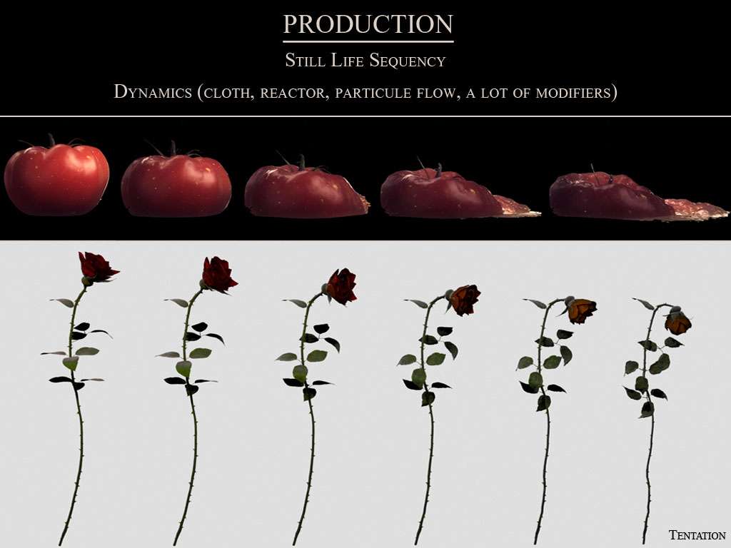 Nature Morte, tomate et fleur en décomposition, pour le film Tentation Mémento Mori