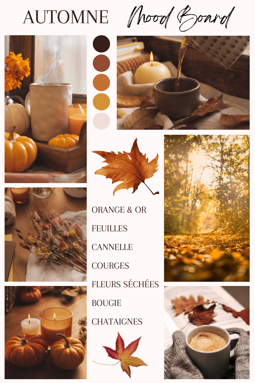 Moodboard d'automne, avec images d'inspiration de feuilles d'arbres, tasse de thé, bougie, citrouille, palette de couleurs automnale, forêt. Création d'une illustration automnale par Audrey Janvier