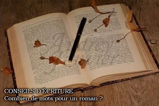 Texte Conseils d'écriture, combien de mots pour un roman Image de livre ouvert avec crayon